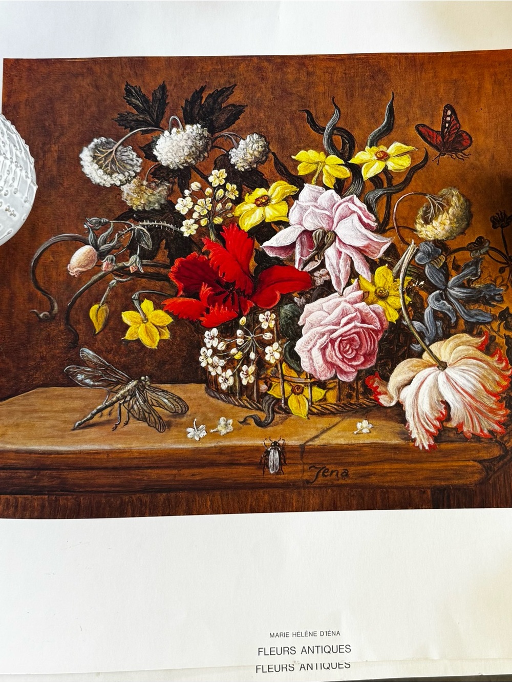 Vintage Swiss Floral / Botanical Art Prints Set of 4 Marie Helene D’Iena